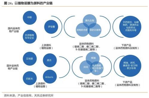 溢多利 專注研發創新的生物技術隱形冠軍，替抗業務迎來高增長