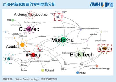 中國本土mRNA技術 差距、突破與未來之路